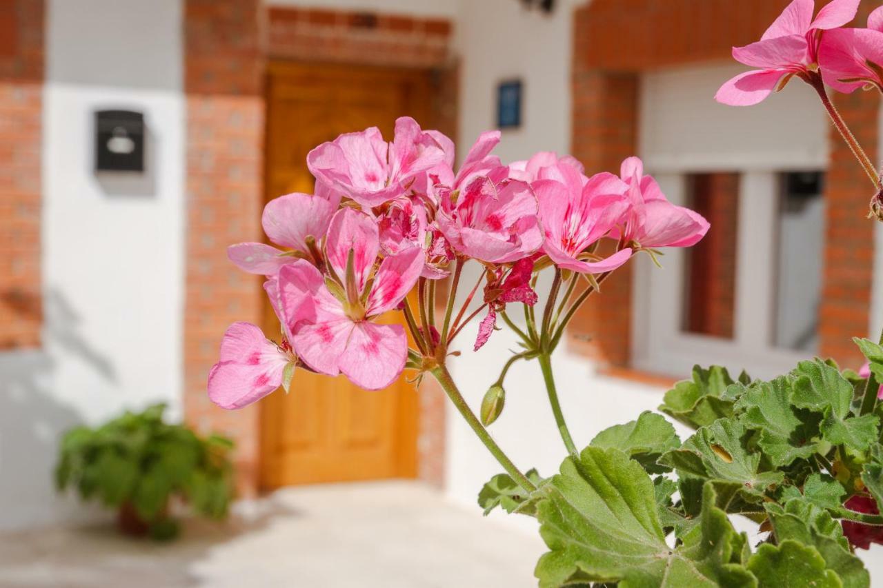 Casa Turistica El Navego Villa Martin Munoz de las Posadas Dış mekan fotoğraf